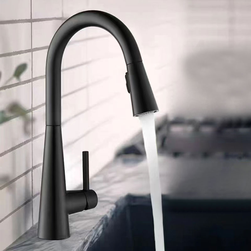 Matte Black Stainless Steel Kitchen Faucet With Pull Out Spray-YSKF022