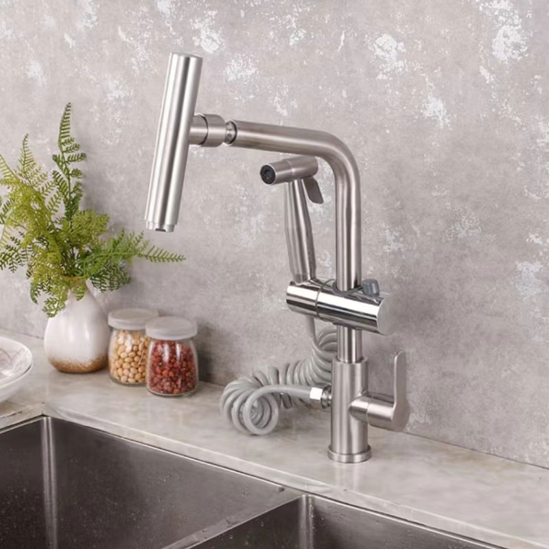 Single Cold Kitchen Water Tap With Retractable Spray Gun-YSCF010