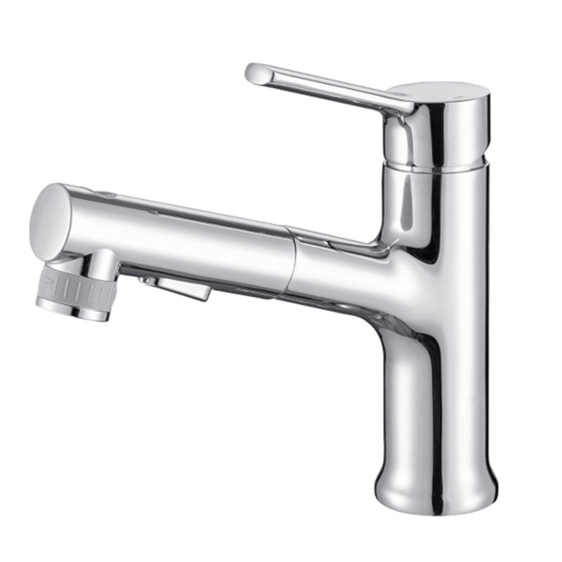 Single Handle Bathroom Basin Faucet With Sprayer-YSBF034