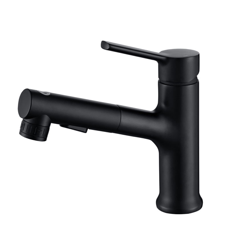 Single Handle Bathroom Basin Faucet With Sprayer-YSBF034